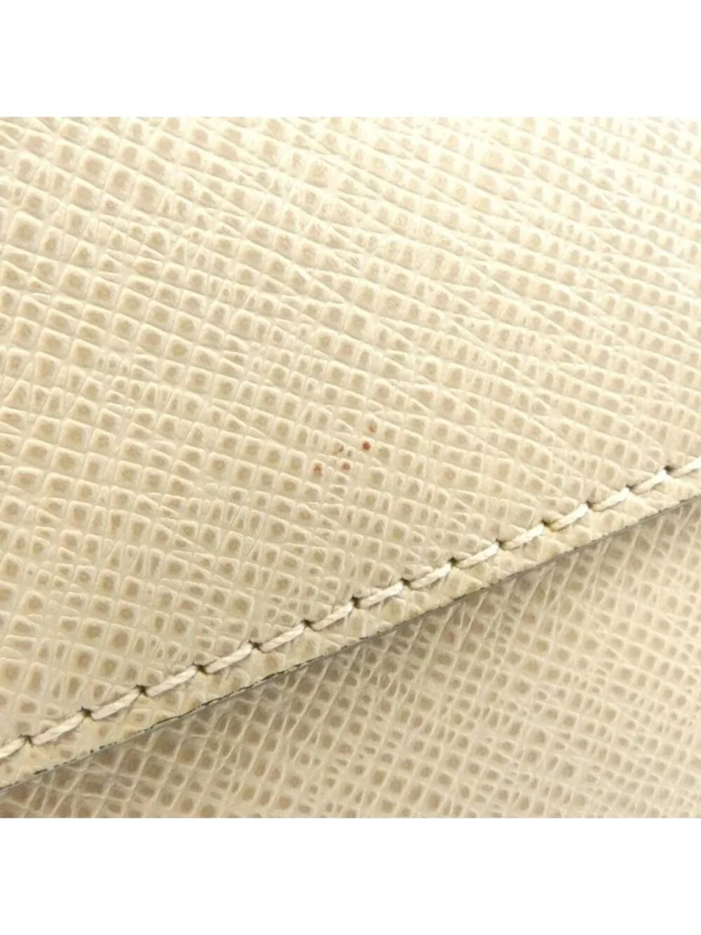 Louis Vuitton brand louis